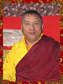 Bardor Tulku Rinpoche1.jpg