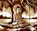 Bodhi-tree-samadi.jpg