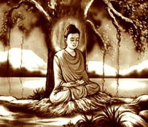 Bodhi-tree-samadi.jpg