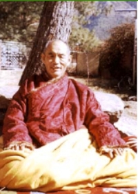 Nyoshul Khenpo Rinpoche.jpg