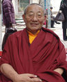Adeu Rinpoche.jpg
