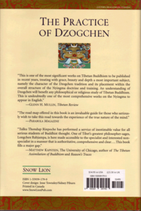 ThePracticeOfDz-2-Back.png