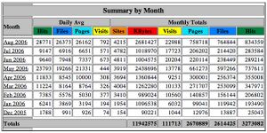 Usage Summary 2006.jpg